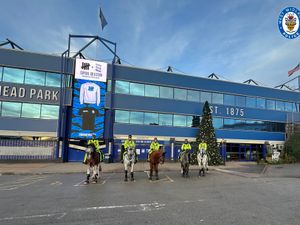 Supporting image for story: Police horses prove a hit at football across West Midlands