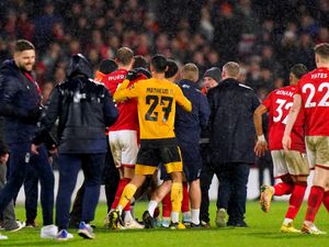 Supporting image for story: Nottingham Forest v Wolves preview: Julen Lopetegui urging Wolves to embrace the pressure