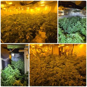 Image: Staffordshire Police