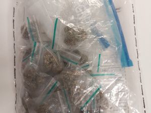 The sandwich bag full of baggies
