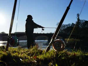 Supporting image for story: Walsall angler fined for fishing without a licence