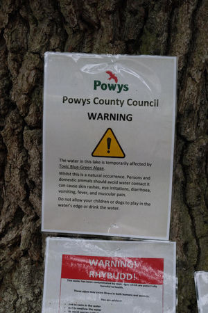 Some of the notices placed at Llandrindod Wells lake over the last week or so. Image by Andy Compton