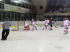 Supporting image for story: Swindon Wildcats 3 Telford Tigers 1 - match report