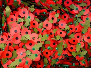 Supporting image for story: Record £26,000 raised for Poppy Appeal in Newport