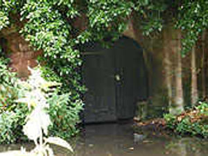 Supporting image for story: Fury after bat cave sealed off