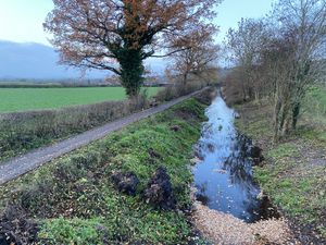 Towpath as far as the eye can see