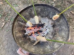 Supporting image for story: Plenty to discover this autumn at south Shropshire venue