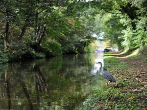 Supporting image for story: River and canals to be focal point for revamp