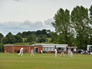 Supporting image for story: Stags are alive and kicking in new innings at new home