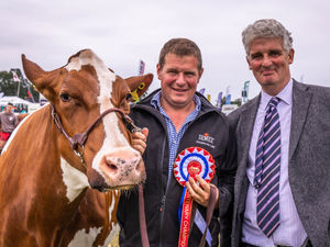 Supporting image for story: Nantwich show will 'educate, inspire and entertain'