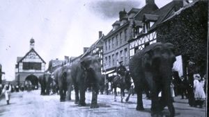 Elephants in the HIgh Street in 1963