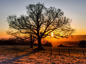 Haughmond Hill. Photo: Phil McVeigh (@warthog.1907 on Instagram)