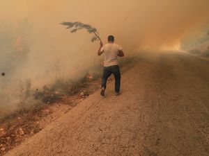 Supporting image for story: Wildfire rages for second day in Lebanon and spreads to Syria