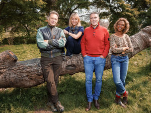 Supporting image for story: Iolo Williams to present TV show from Mid Wales beauty spot