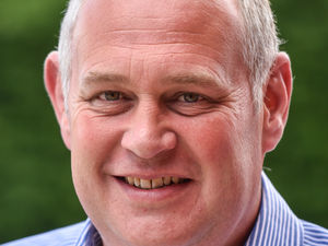 Supporting image for story: Pave Aways secures contract with food wholesaler