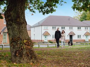 Supporting image for story: Housebuilder to host open weekend for those seeking their perfect property in Telford