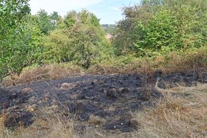 The fire left a large area of blackened and damaged grass