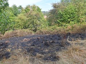 Supporting image for story: Firefighters leave scene after grass fire which took hold in a residential area in Dudley