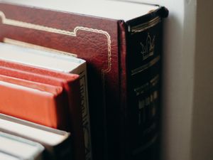 Supporting image for story: Librarians get silly this summer for reading challenge