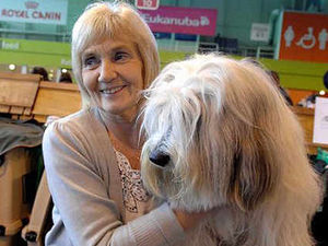 Supporting image for story: Dogs lap up limelight at Crufts 2010