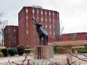 Supporting image for story: Services on move to raise cash for Cannock Chase Council