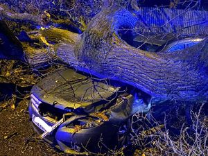 Supporting image for story: Tree falls on pub and car is crushed as Storm Franklin grips the West Midlands 