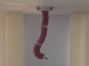 Supporting image for story: Self-propelling robot endoscope ‘could make bowel cancer screening comfortable’