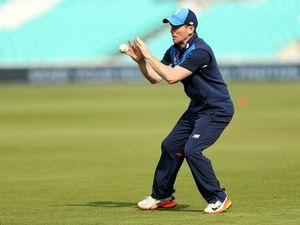 Supporting image for story