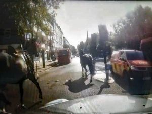 Supporting image for story: Three runaway military horses bolt through London after losing riders