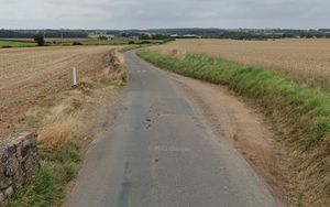 The single track road from the A41 to Lynn South Farm. Picture: LDRS