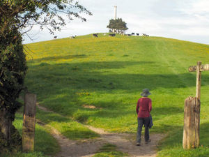 Supporting image for story: Festival steps back into history