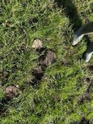 Look what he turned down!