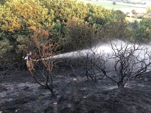 Supporting image for story: Crews tackle spate of Shropshire grass fires - with pictures