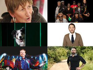 Supporting image for story: Crufts, Cheese Fest and more: What's on this weekend in the Midlands and Shropshire