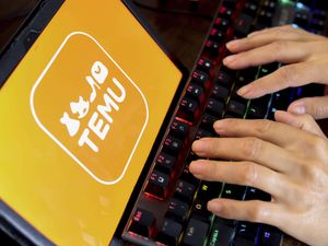 Supporting image for story: Temu accused by EU regulators of failing to prevent sale of illegal products