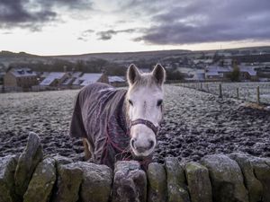 Supporting image for story: Snowy start to new year forecast across the UK