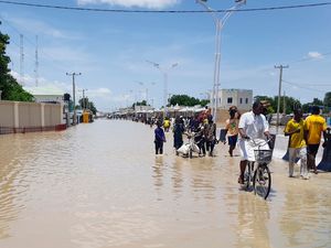 Supporting image for story: Dam collapse in Nigeria sweeps deadly zoo reptiles into flooded communities