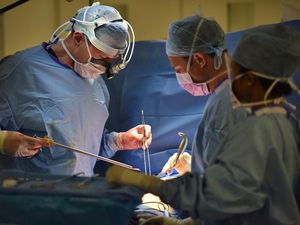 Supporting image for story