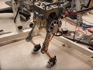 Supporting image for story: Two-legged robot can mimic human balance, say researchers