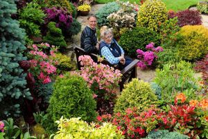 Supporting image for story: Gardeners' world