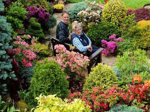Supporting image for story: Gardeners' world