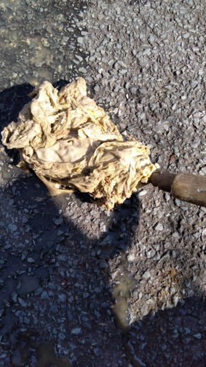 Kitchen roll blamed for blockage