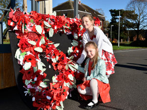 IDENTIFICATION & DISPLAY