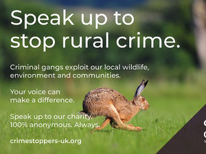 Supporting image for story: New campaign encourages people to speak out about rural crime in Wales 