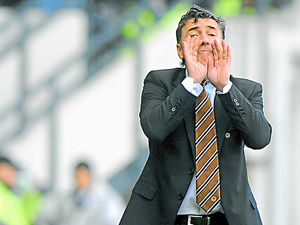 Supporting image for story: Saunders sees signs of hope at Wolves