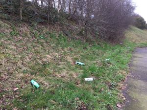 Supporting image for story: Plea for council to do more about litter off A53 near Market Drayton
