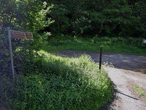 Supporting image for story: Access improvement plans for Shropshire nature reserve set to be approved