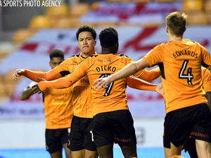 Supporting image for story: Wolves 3 Bristol City 2 - Report and pictures