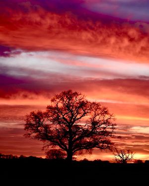 Streaks of warm sunset colours over Waters Upton, photographed by John Rawlinson