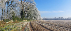 Winter Field - Simon Hughes